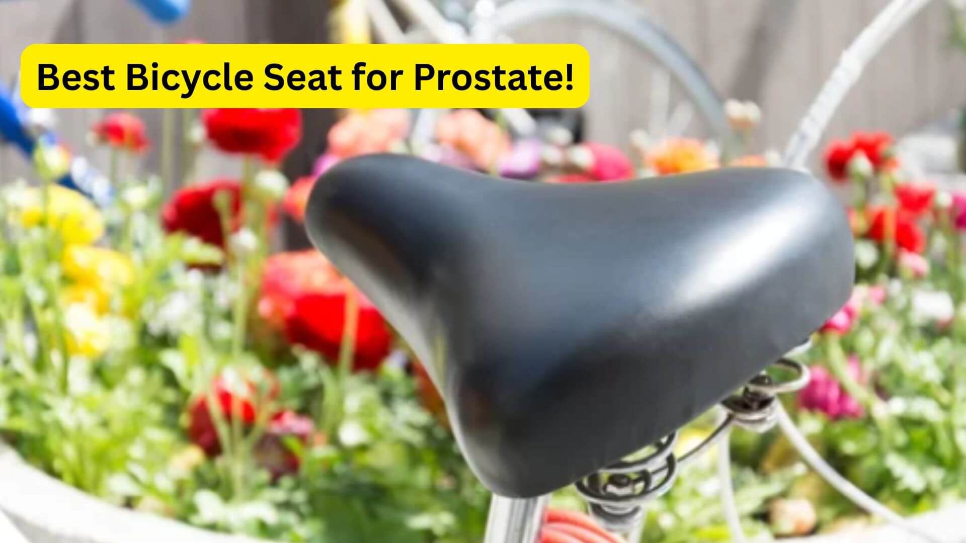 best-bicycle-seat-for-prostate