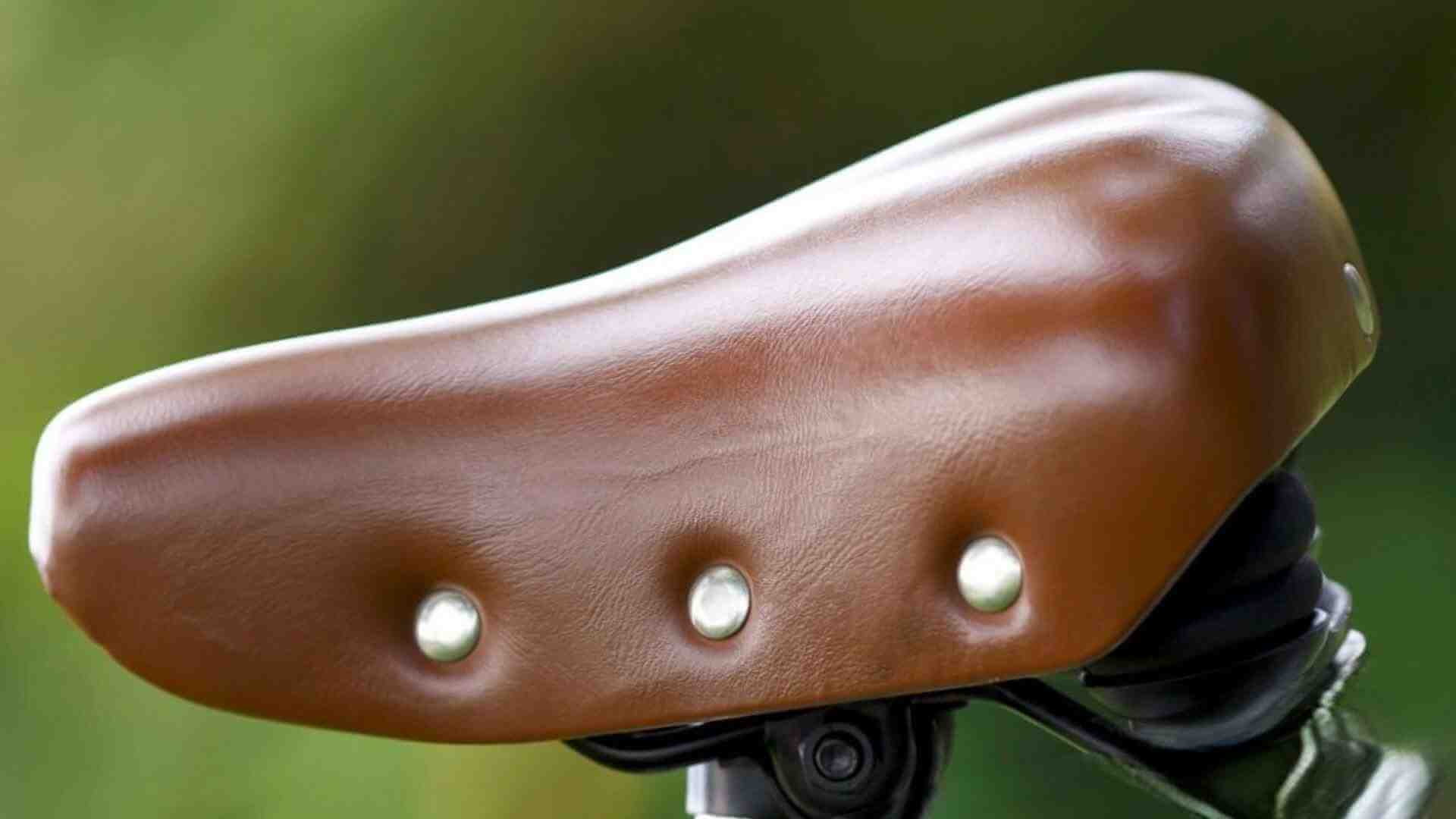 best-cruiser-bicycle-seat
