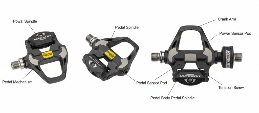 Detailed Comparison Assioma Duo vs Garmin Rally