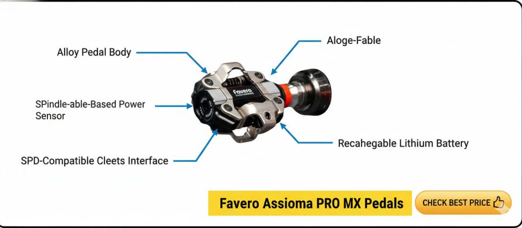Detailed Comparison: Garmin Rally RS200 vs Favero Assioma